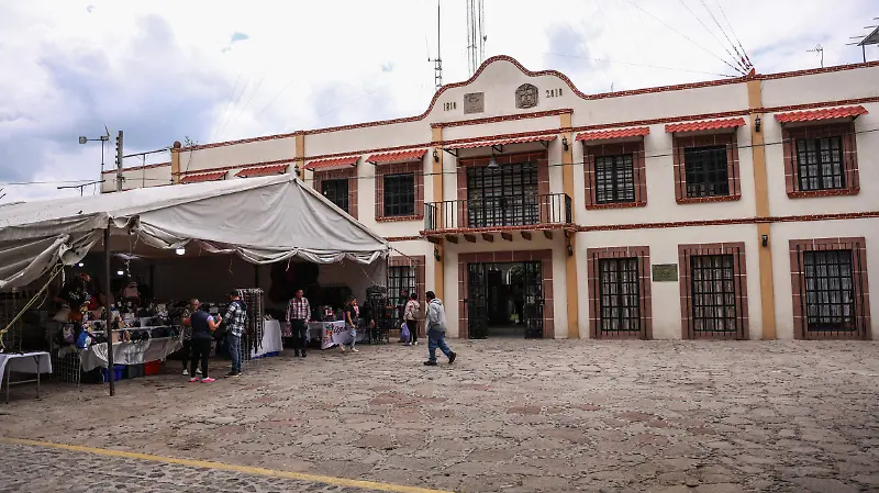 Tigre Kenzo Municipio de Tepetlaoxtoc y poblado de San Bernardo Tlalmimilolpan